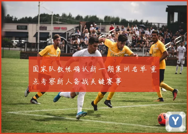 国家队教练确认新一期集训名单 重点考察新人备战关键赛事